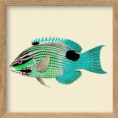 Petit cadre poisson décoratif THE DYBDAHL CO