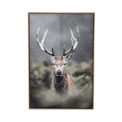 Toile cerf dans les buissons 80x120 cm AMADEUS
