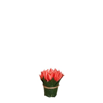 Composition de chrysanthèmes artificiels H9 SIA DECO