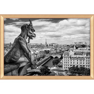 Tirage Encadré Sur Aluminium Gargoyle On Notre-dame TIRAGE D'ART CEANOTHE