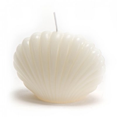 Bougie coquillage crème (lot de 8) AMADEUS