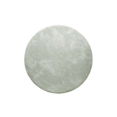 Tapis rond à poils longs doux pour salon ,  PISA HOMIE LIVING