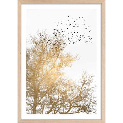 Affiche dessin ""Ciel d'or"" HEXOA