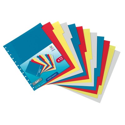Intercalaires Maxi A4 12 positions pour porte vue GEODE VIQUEL
