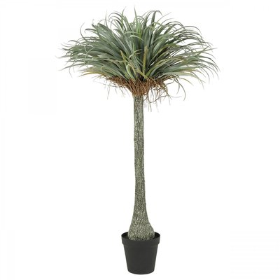Yucca artificiel 180cm LIGNE DECO