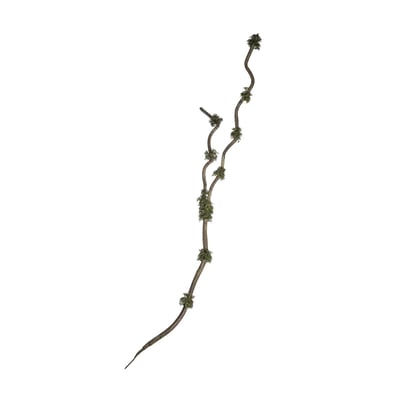 Branche avec mousse artificielle H195 SIA