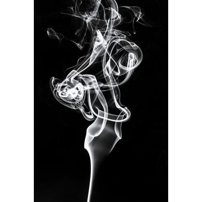 Tableau  white smoke tulip dream HEXOA