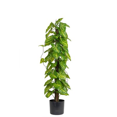 Feuillage d'Hosta artificiel sur ARTIFICIELLES