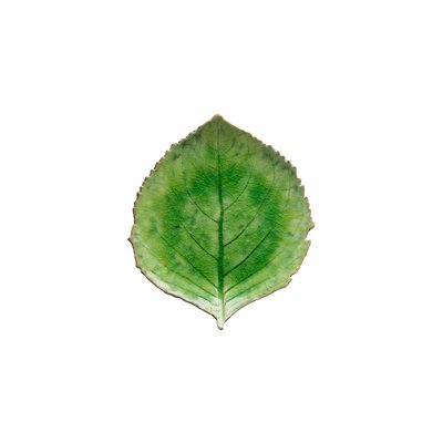 Feuille hortensia en grès, RIVIERA COSTA NOVA