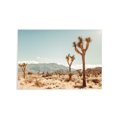 Poster Nature Desert 5 L'AFFICHERIE