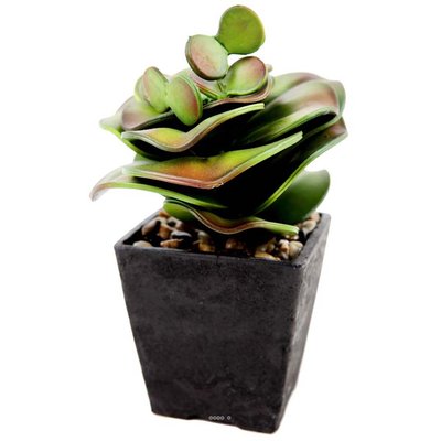 Cactus cactée agave en pot chocolat ARTIFICIELLES