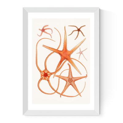Vintage Starfish 2 by Oh Fine! Art Print EAST END PRINTS