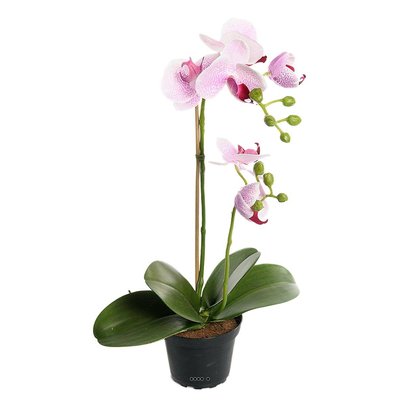 Orchidee artificielle 2 hampes en pot H 40 cm ARTIFICIELLES