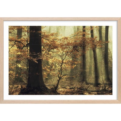 Affiche ""les feuilles d'automne"" HEXOA