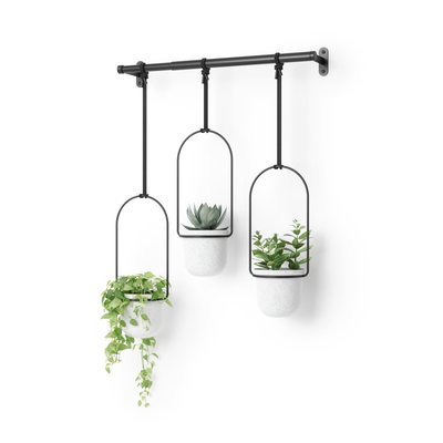 3 pots de fleurs avec fixation - TRIFLORA UMBRA