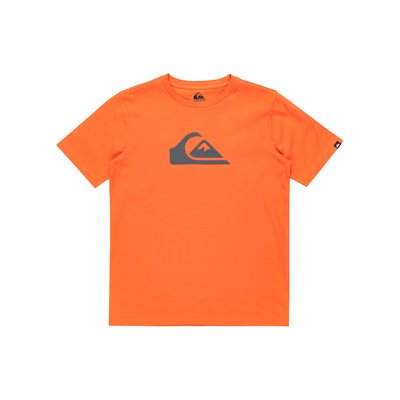 T-shirt manches courtes QUIKSILVER