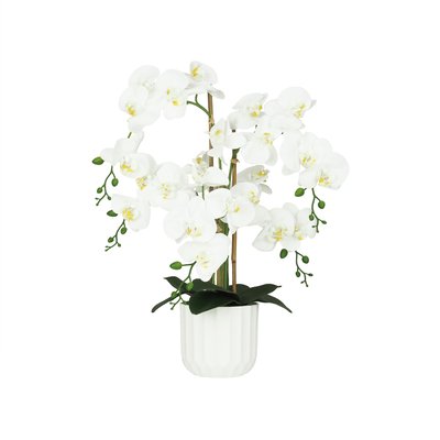 Orchidée artificielle toucher naturel 60cm LIGNE DECO