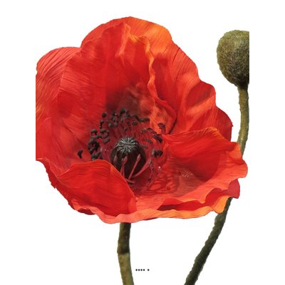 Pavot artificiel H60 cm 1 fleur et 1 bouton ARTIFICIELLES