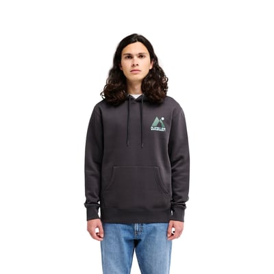 Sweat capuche SALT WATER PEAK QUIKSILVER