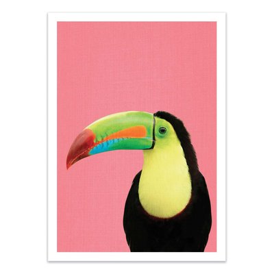 Affiche d’art 50 x 70 cm - Toucan bird in pink - Gal Design WALL EDITIONS