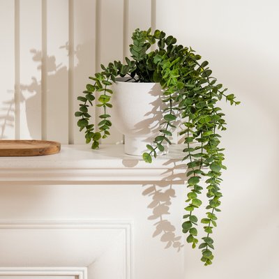40cm Artificial Trailing Eucalyptus in Rustic Footed Pot SO'HOME