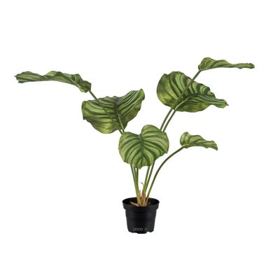 Calathea factice en pot, grandes feuilles ARTIFICIELLES