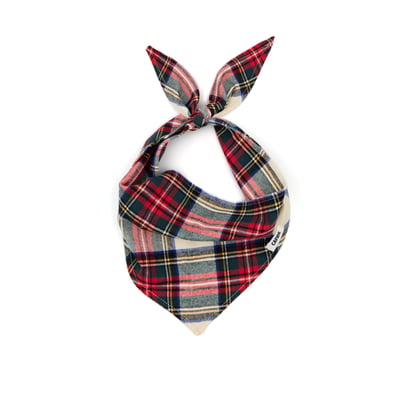 Bandana pour chien, NATA CAFIDE