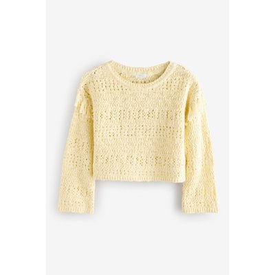 Pull en crochet avec pampilles NEXT