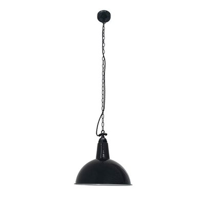 Suspension    LOU FARO
