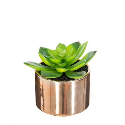 Plante artificielle ATMOSPHERA