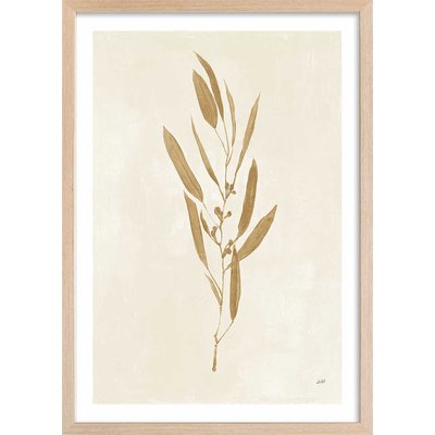 Affiche fleurs Recolte d'or Mina HEXOA