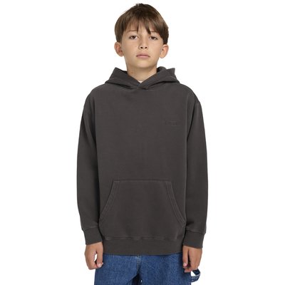 Sweat à capuche CORNELL 3.0 ELEMENT