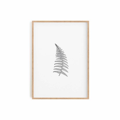 Herbarium White II, affiche +  cadre chêne. 50cm x 70cm COTTON BIRD