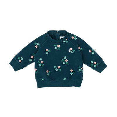Sweat bébé - Très bon état PETIT BATEAU