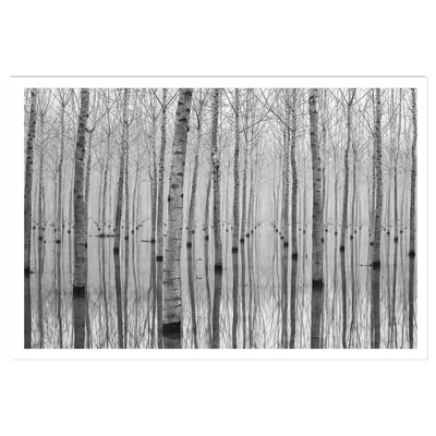 Affiche nature automnale pieds dans l'eau HEXOA