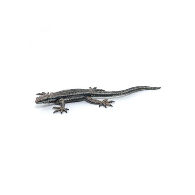 Lézard commun PAPO