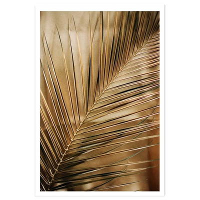 Affiche déco golden palm HEXOA