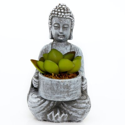 Bouddha pot avec succulente PIER IMPORT