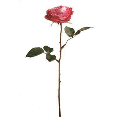 Tige de rose avec épines et feuilles artificielles H33 SIA DECO