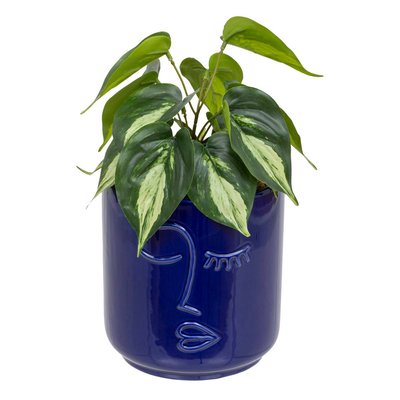 Plante artificielle SOLEYA ATMOSPHERA