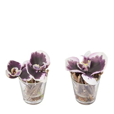 Set de 2 orchidées en illusion d'eau artificielles D10 SIA DECO