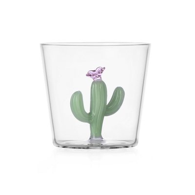 Verre cactus  Desert Plants ICHENDORF