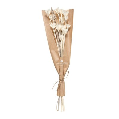 Bouquet fleurs séchées ATMOSPHERA