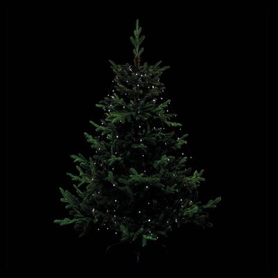 Robe lumineuse extérieur 232 LED blanc froid H220cm avec transfo FEERIC LIGHTS & CHRISTMAS