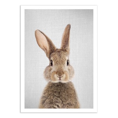 Affiche d’art et cadre noir 30 x 40 cm - Rabbit colorful - Gal Design WALL EDITIONS