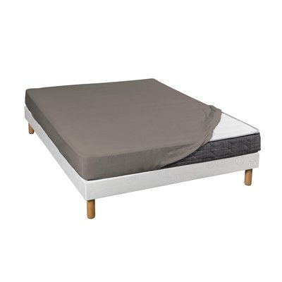 Drap housse coton jersey bonnet 30 cm TERRE DE NUIT