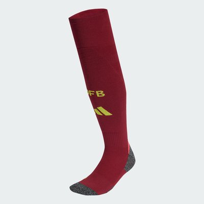 Chaussettes Extérieur Allemagne 25 (Équipe féminine) adidas Performance