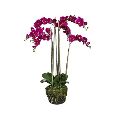 Orchidée artificielle en terre H100 SIA DECO