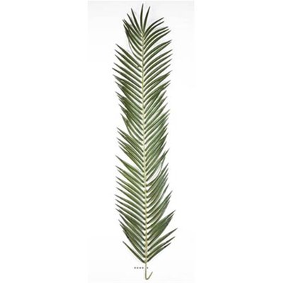 Feuille de Palmier Phoenix artificielle ARTIFICIELLES