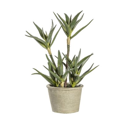 38cm Artificial Potted Aloe SO'HOME